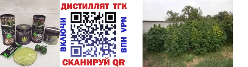Canna-Cookies конопля  omg ONION  маркетплейс формула  Североморск 