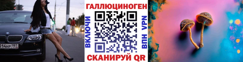 Псилоцибиновые грибы Cubensis  где купить   Североморск 